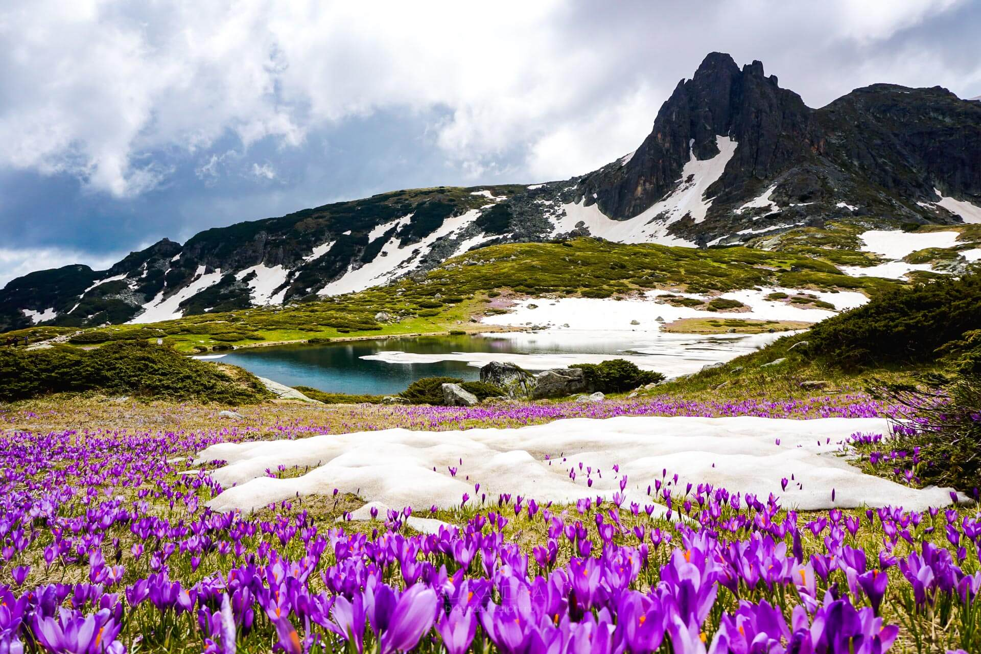 Bootstrap Image Preview